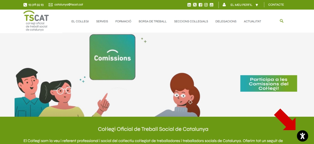 Accessibilitat web